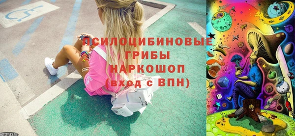 a pvp Вязьма
