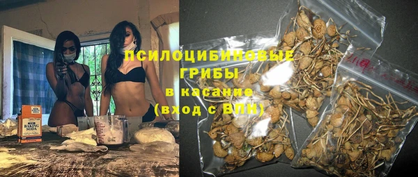 a pvp Вязьма