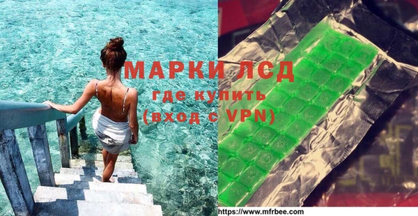 PSILOCYBIN Вяземский
