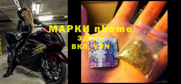 PSILOCYBIN Вяземский