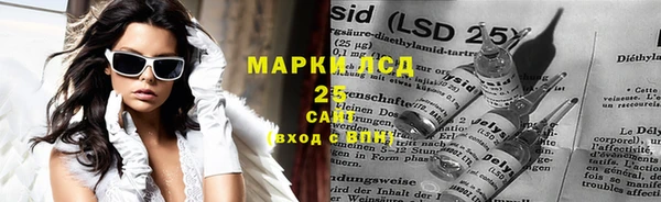 PSILOCYBIN Вяземский